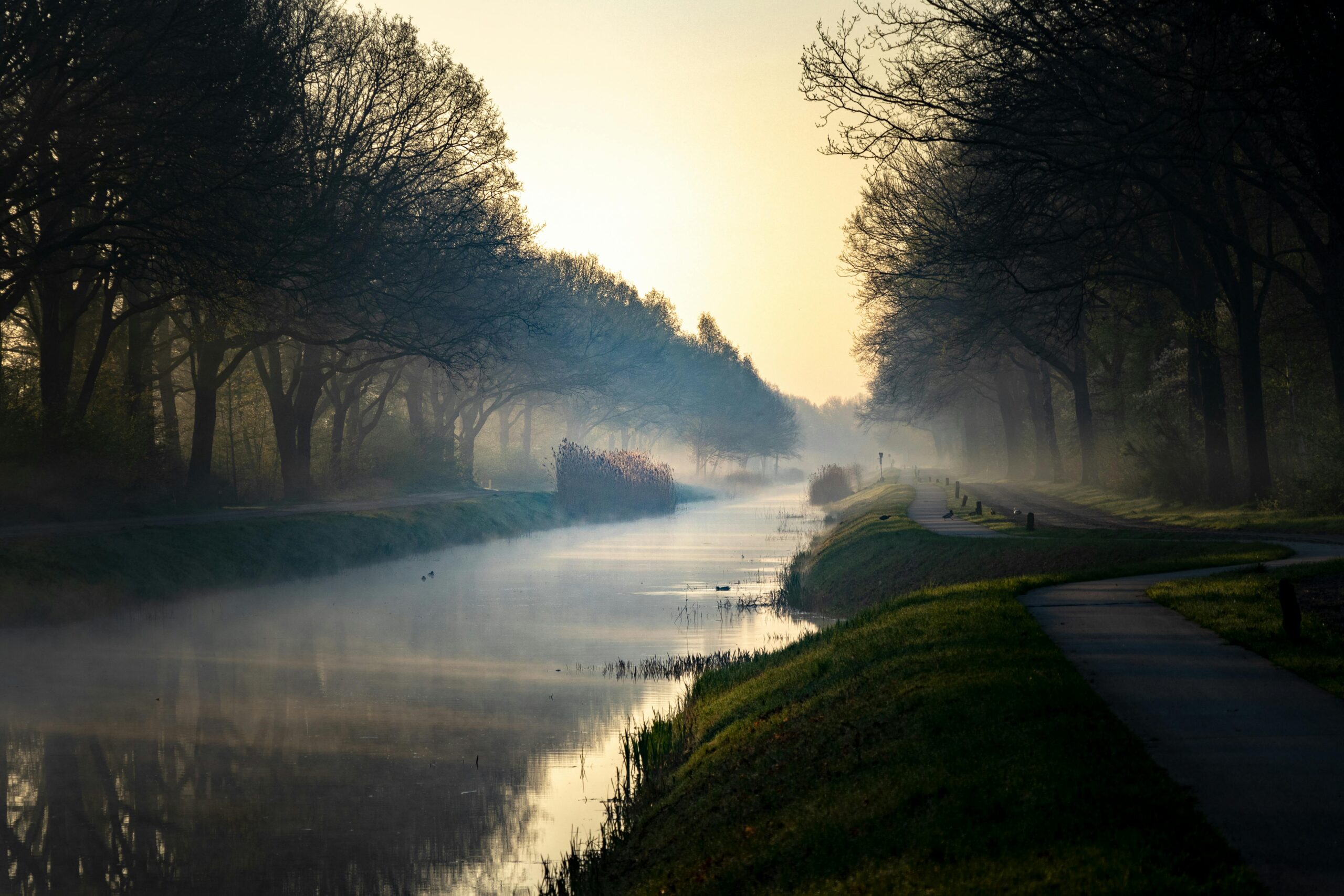 A serene canal view at dawn with mist, trees, and a tranquil pathway, creating a peaceful autumn atmosphere.